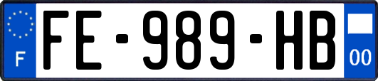 FE-989-HB