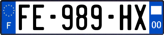 FE-989-HX