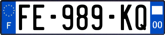 FE-989-KQ