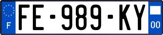 FE-989-KY