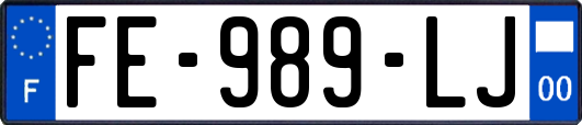 FE-989-LJ