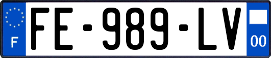 FE-989-LV