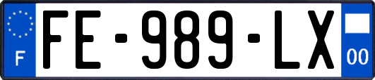 FE-989-LX