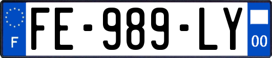 FE-989-LY