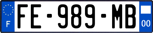 FE-989-MB