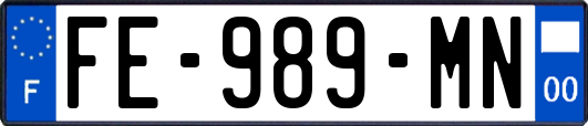 FE-989-MN