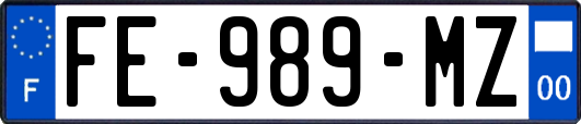 FE-989-MZ