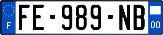 FE-989-NB