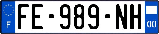 FE-989-NH