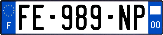 FE-989-NP