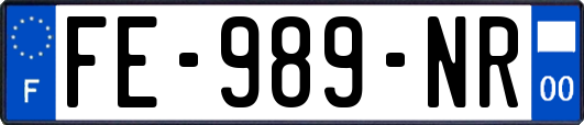 FE-989-NR