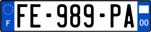 FE-989-PA
