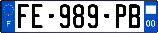 FE-989-PB