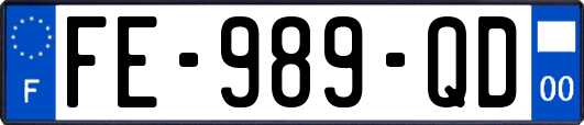 FE-989-QD