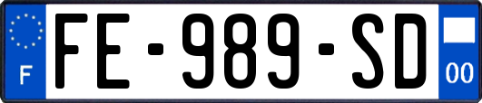 FE-989-SD