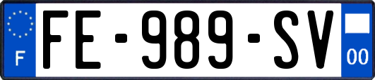 FE-989-SV