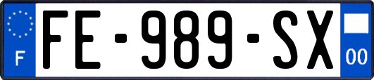 FE-989-SX