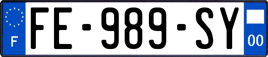 FE-989-SY
