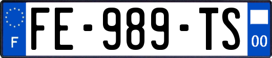 FE-989-TS