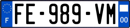FE-989-VM