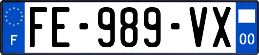 FE-989-VX