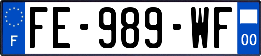 FE-989-WF