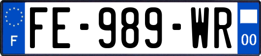FE-989-WR