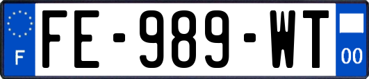 FE-989-WT