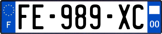 FE-989-XC