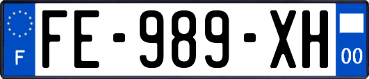 FE-989-XH