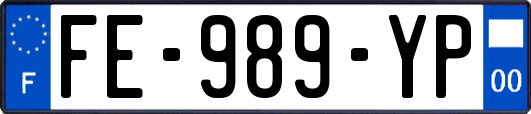 FE-989-YP