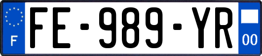FE-989-YR