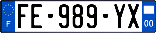 FE-989-YX