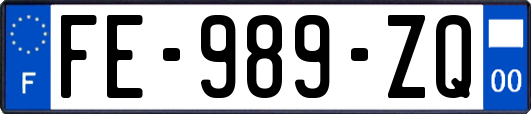 FE-989-ZQ