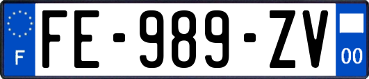 FE-989-ZV