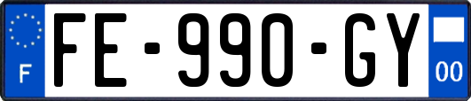 FE-990-GY