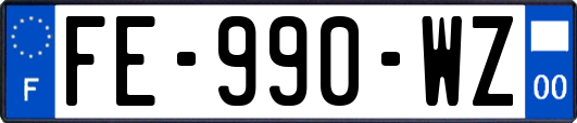 FE-990-WZ