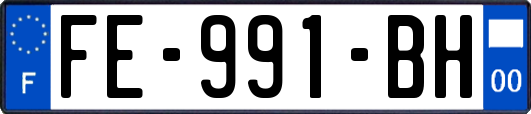 FE-991-BH