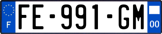 FE-991-GM