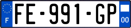 FE-991-GP