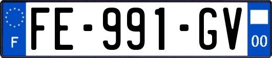 FE-991-GV