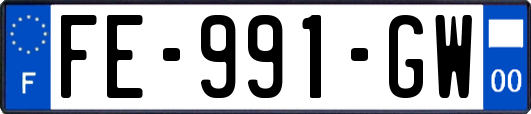 FE-991-GW