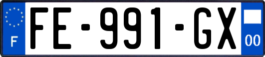 FE-991-GX