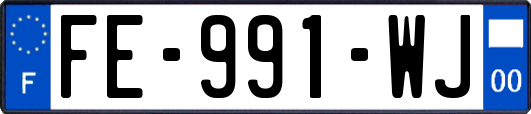FE-991-WJ
