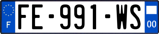 FE-991-WS
