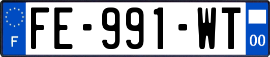 FE-991-WT