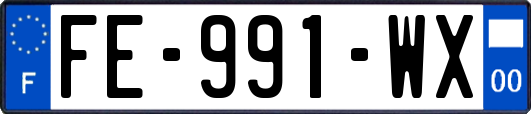 FE-991-WX