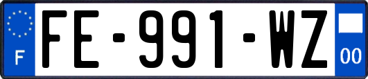 FE-991-WZ