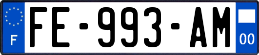 FE-993-AM