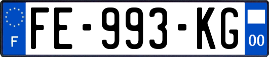 FE-993-KG